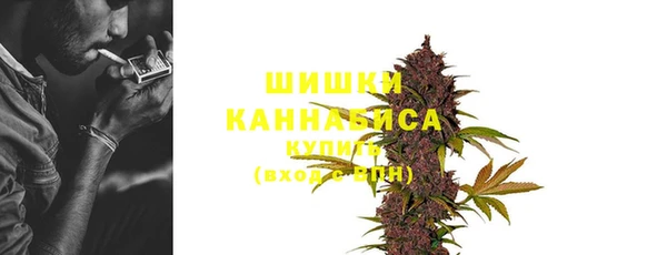 бошки Снежногорск