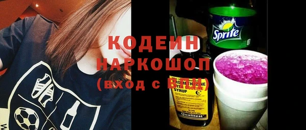 прущие грибы Нея