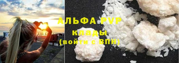 прущие грибы Нея